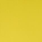 Cadmium Lemon